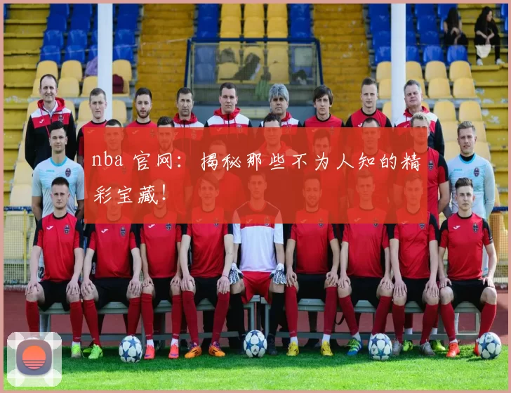 nba 官网：揭秘那些不为人知的精彩宝藏！