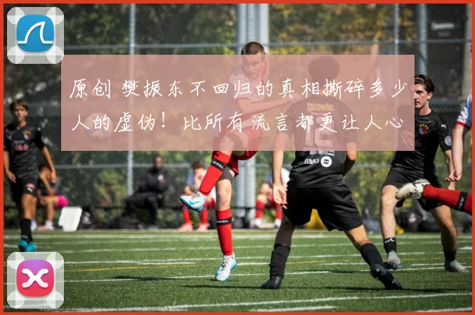 原创 樊振东不回归的真相撕碎多少人的虚伪！比所有流言都更让人心疼