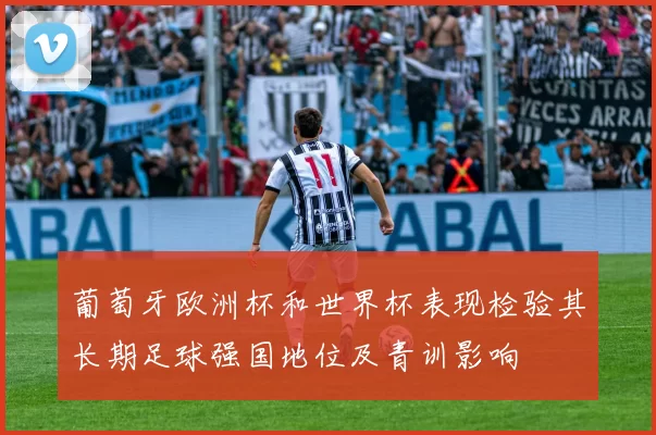 葡萄牙欧洲杯和世界杯表现检验其长期足球强国地位及青训影响