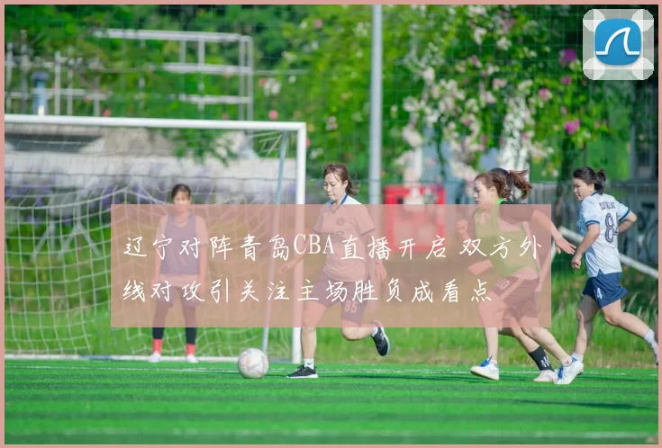 辽宁对阵青岛CBA直播开启 双方外线对攻引关注主场胜负成看点