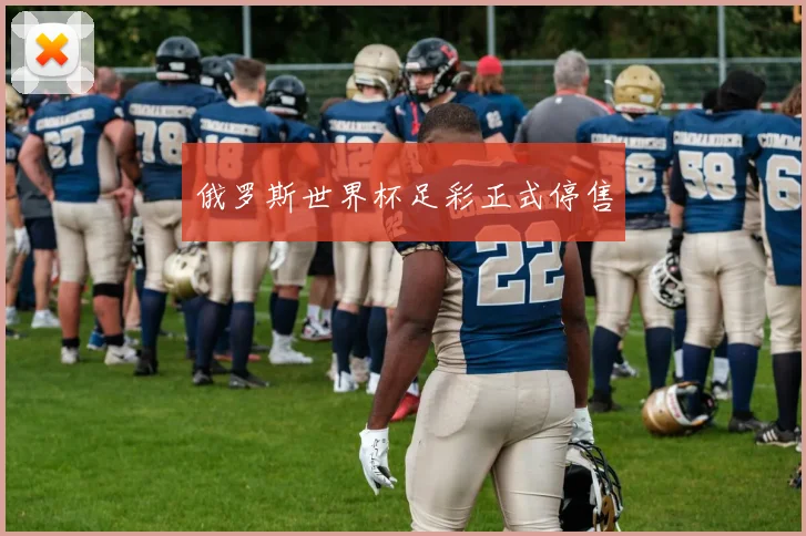 俄罗斯世界杯足彩正式停售