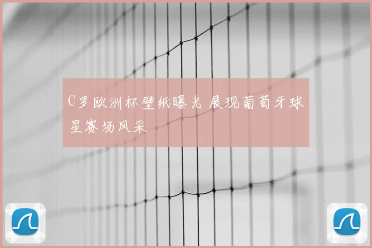 C罗欧洲杯壁纸曝光 展现葡萄牙球星赛场风采